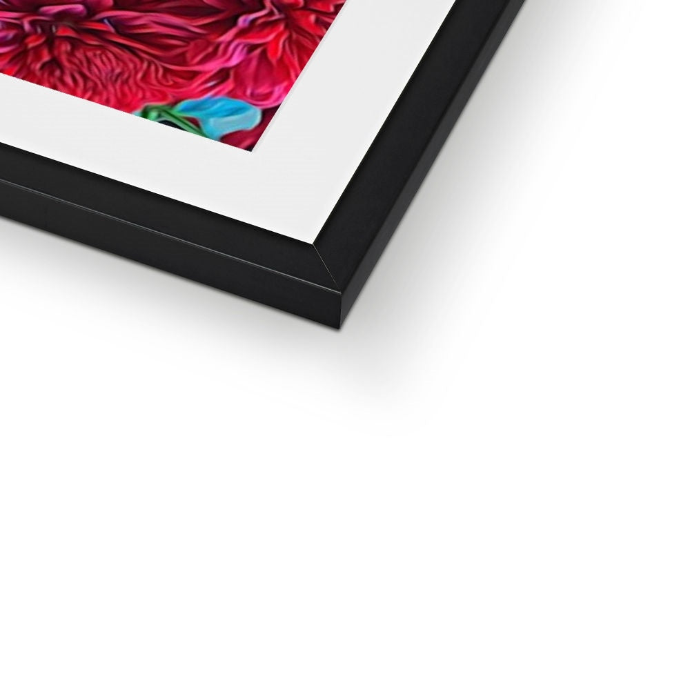 Red Mums Framed & Mounted Print