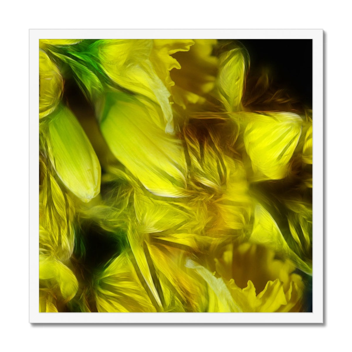 Abstract Yellow Daffodils Framed Print