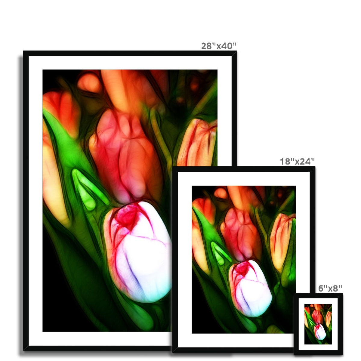 Pink Tulips Framed & Mounted Print