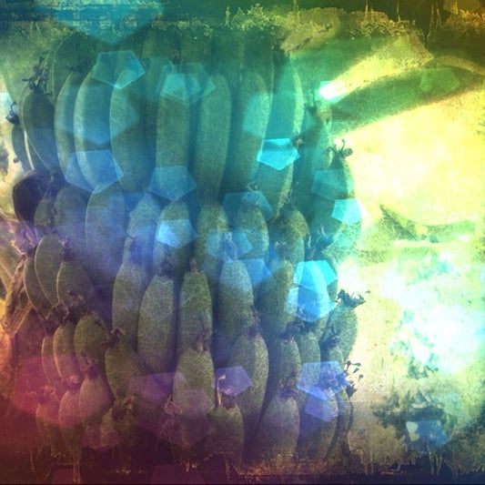 Banana in Bokeh Lights Digital Image Download