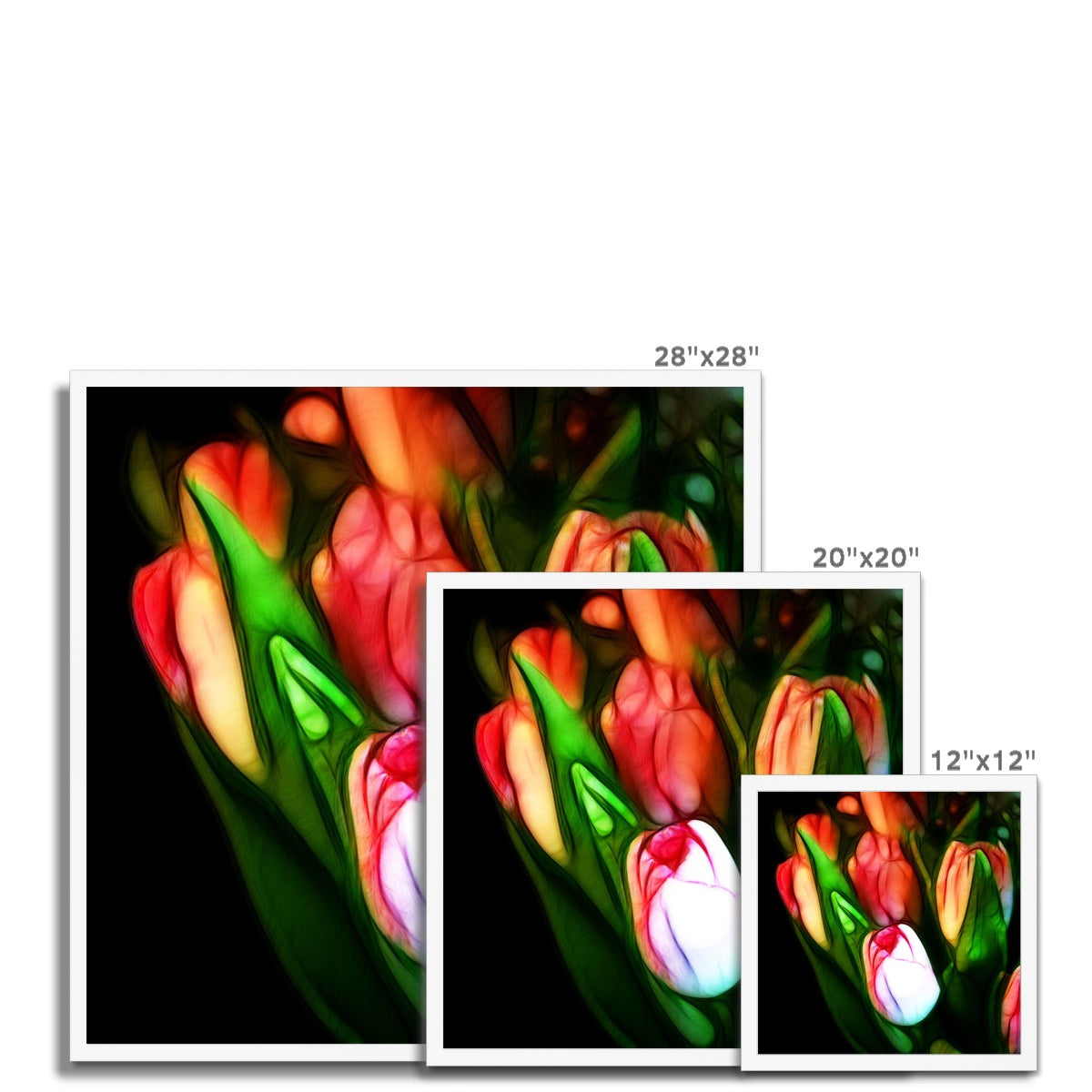 Pink Tulips Framed Print