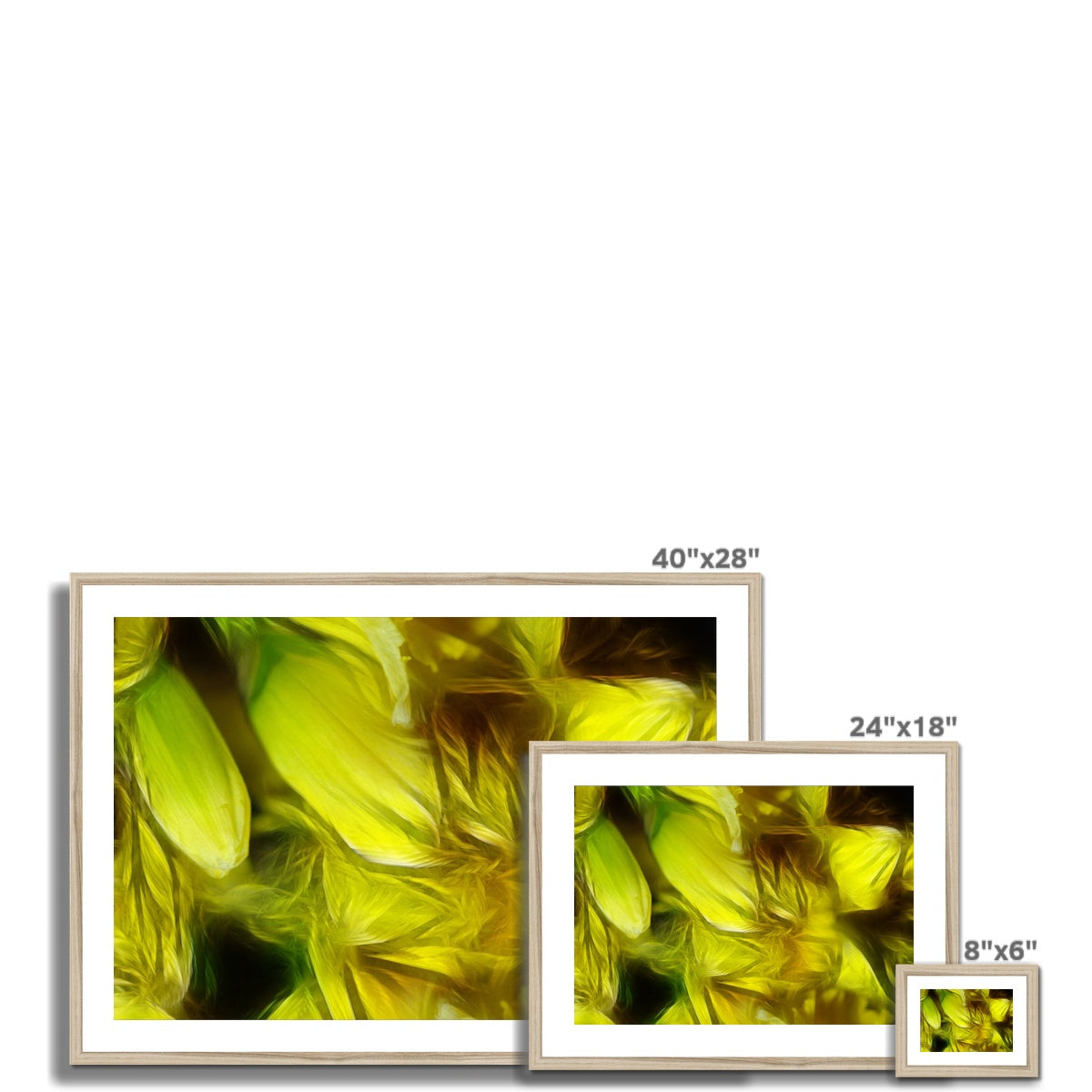 Abstract Yellow Daffodils Framed & Mounted Print