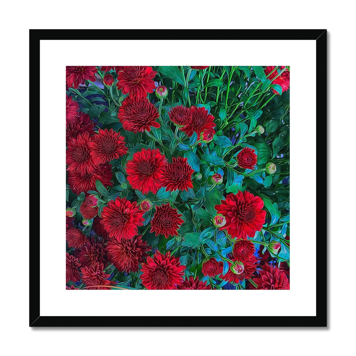 Red Mums Framed & Mounted Print