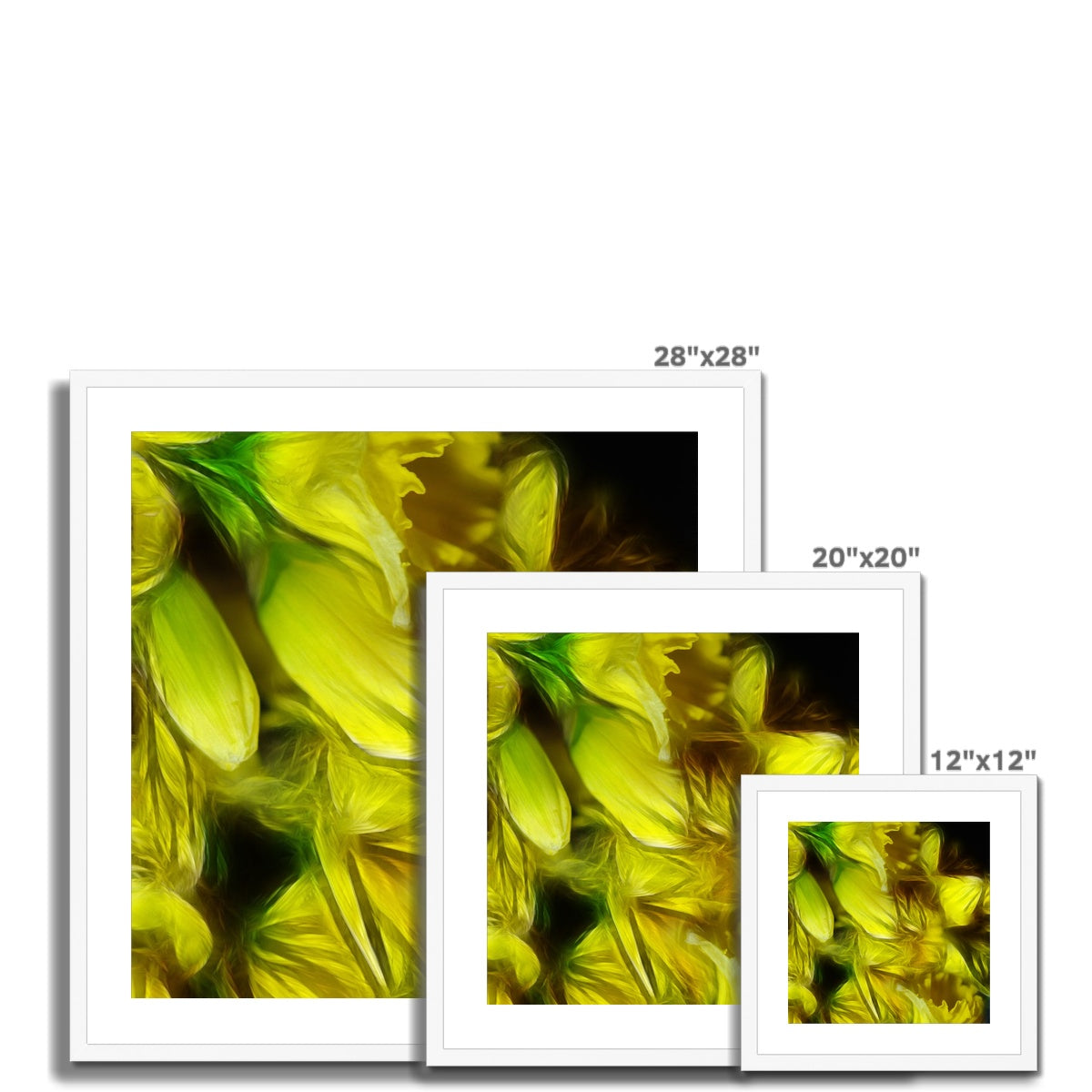 Abstract Yellow Daffodils Framed & Mounted Print