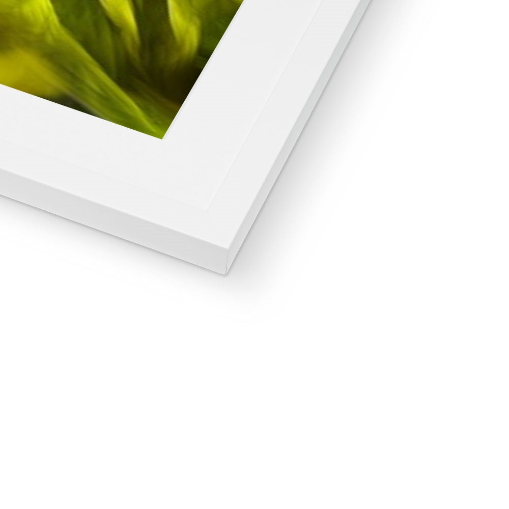 Abstract Yellow Daffodils Framed & Mounted Print