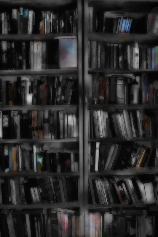 Black and White Bookshelves Digital image Download