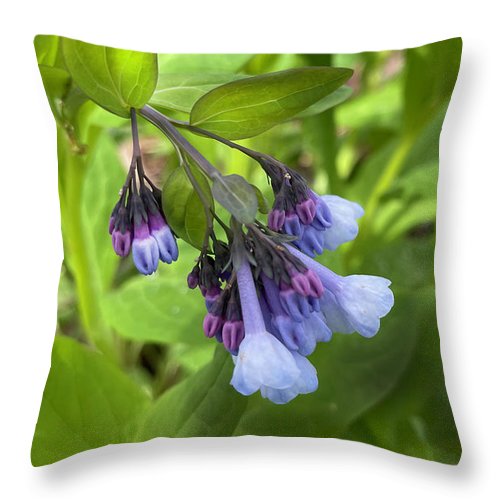 Blue and Purple April Wildflowers - Throw Pillow