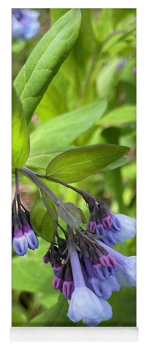 Blue and Purple April Wildflowers - Yoga Mat