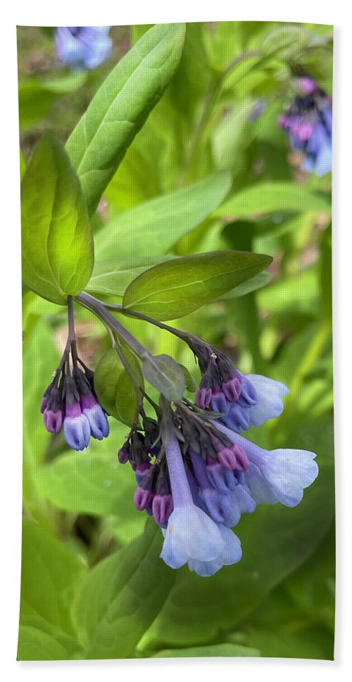 Blue and Purple April Wildflowers - Bath Towel
