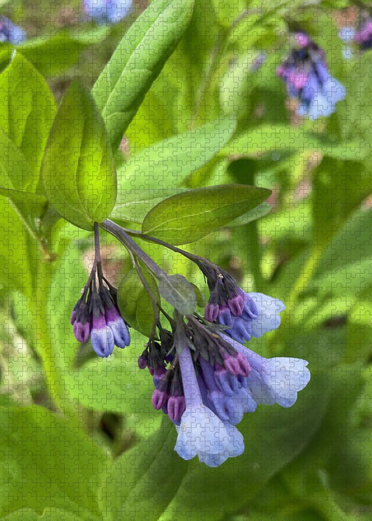 Blue and Purple April Wildflowers - Puzzle