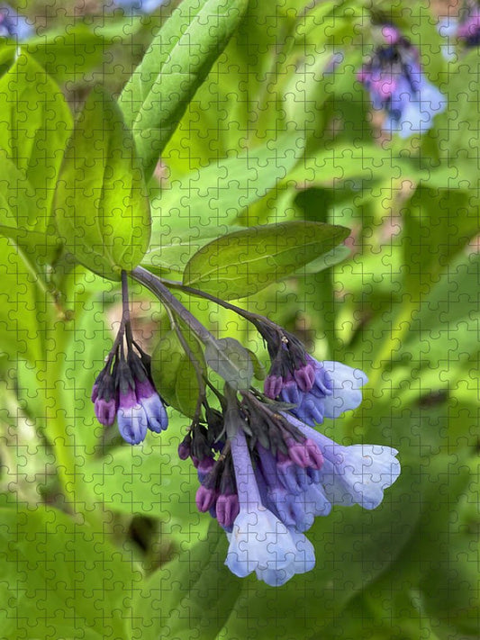 Blue and Purple April Wildflowers - Puzzle