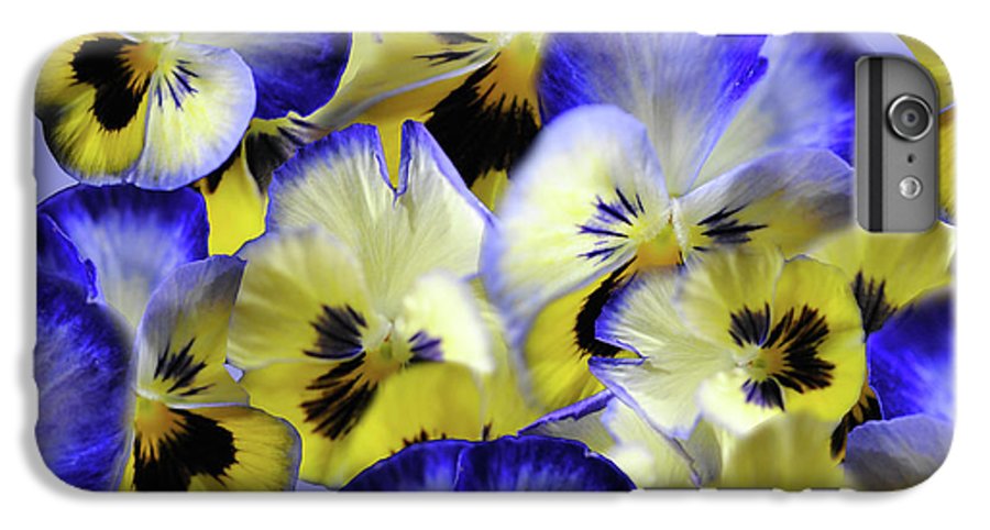 Blue and Yellow Pansies Collage - Phone Case