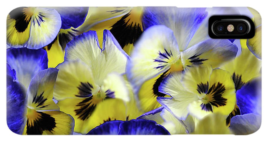 Blue and Yellow Pansies Collage - Phone Case