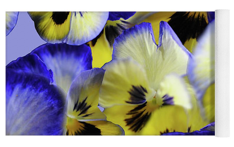 Blue and Yellow Pansies Collage - Yoga Mat