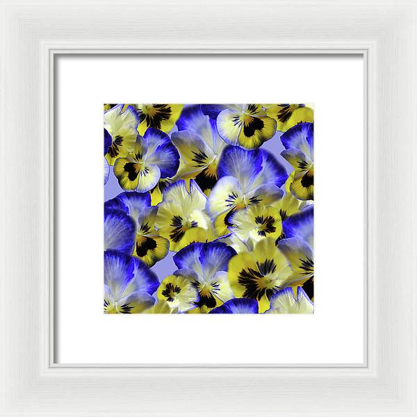 Blue and Yellow Pansies Collage - Framed Print