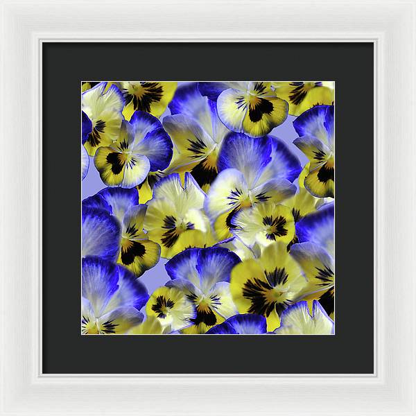 Blue and Yellow Pansies Collage - Framed Print