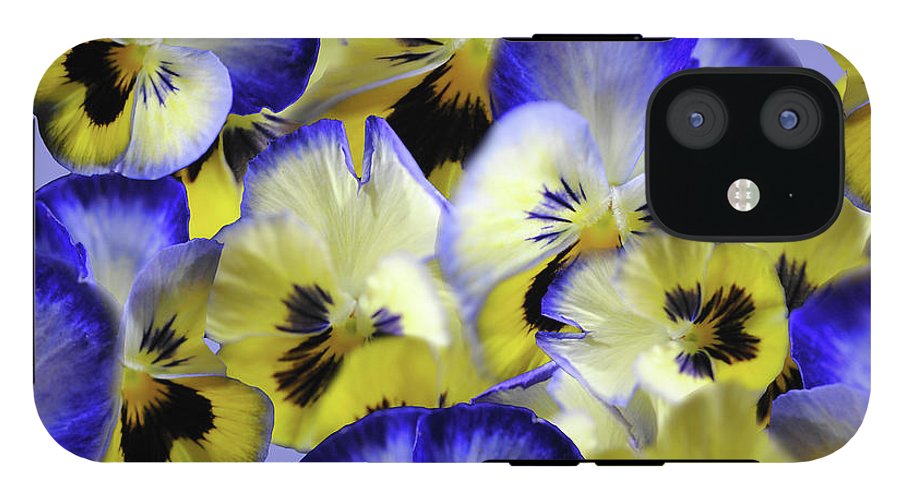 Blue and Yellow Pansies Collage - Phone Case