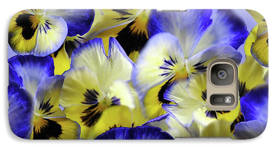 Blue and Yellow Pansies Collage - Phone Case