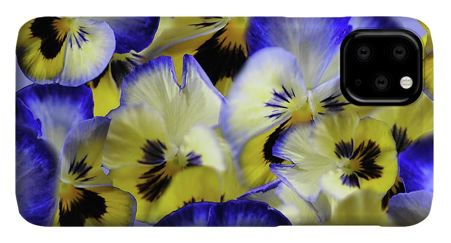 Blue and Yellow Pansies Collage - Phone Case