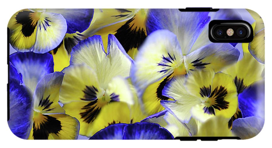 Blue and Yellow Pansies Collage - Phone Case