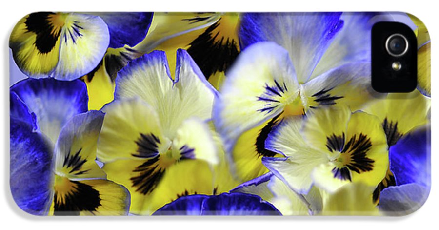 Blue and Yellow Pansies Collage - Phone Case