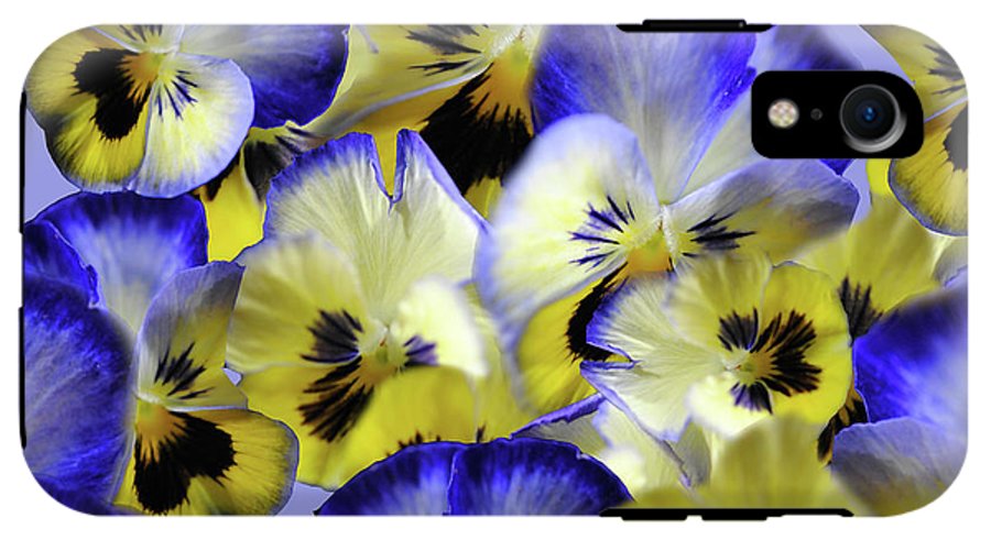 Blue and Yellow Pansies Collage - Phone Case
