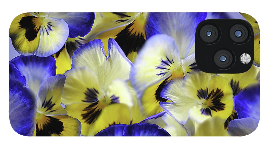 Blue and Yellow Pansies Collage - Phone Case