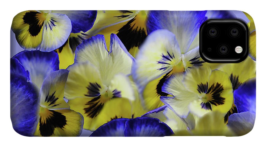 Blue and Yellow Pansies Collage - Phone Case