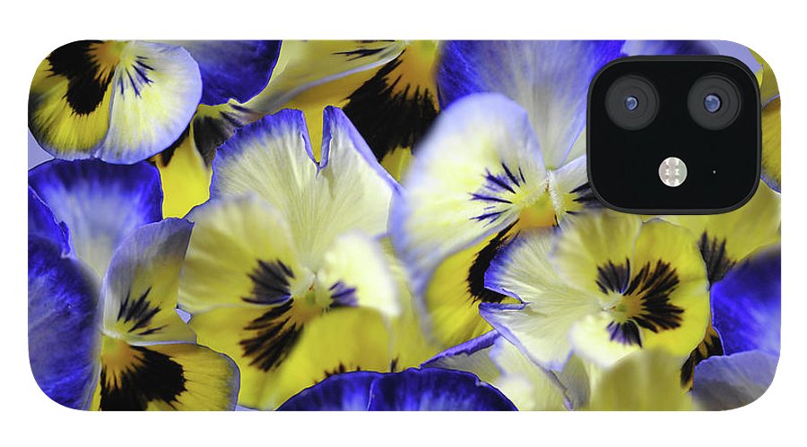 Blue and Yellow Pansies Collage - Phone Case