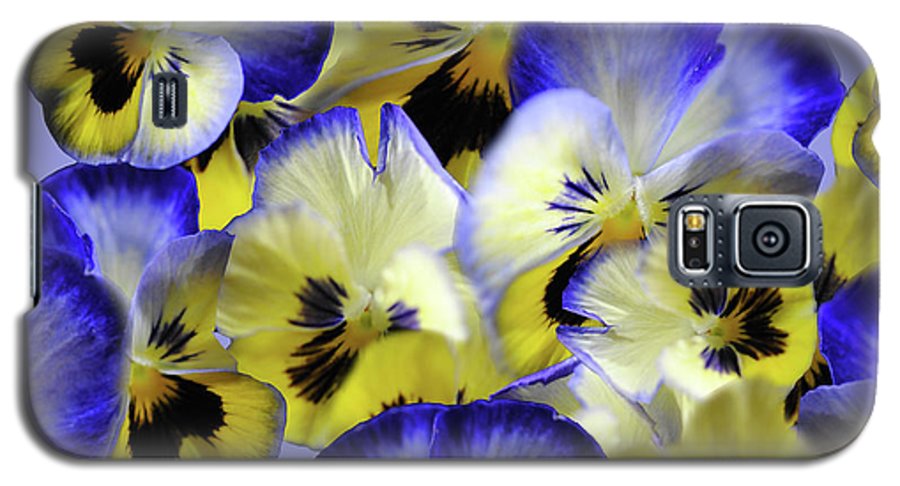Blue and Yellow Pansies Collage - Phone Case