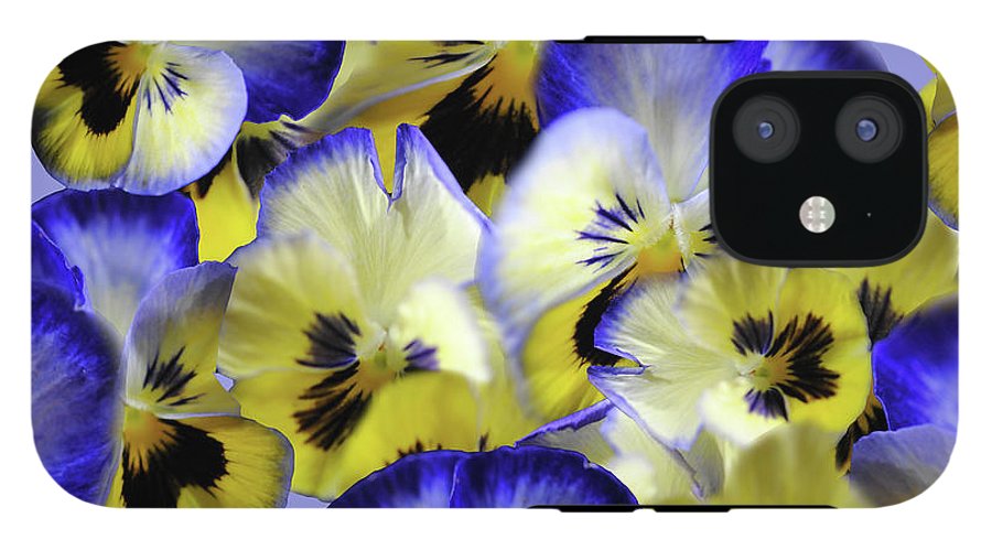 Blue and Yellow Pansies Collage - Phone Case