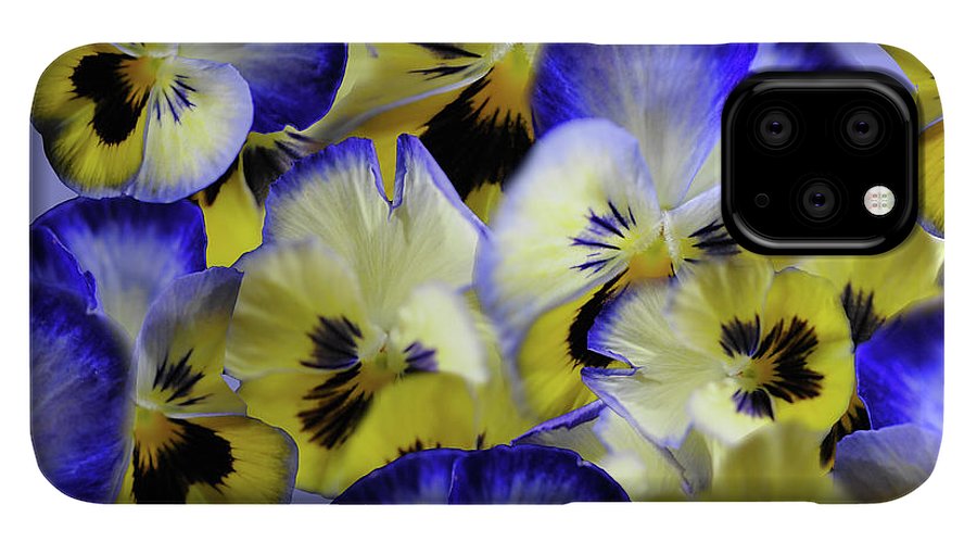 Blue and Yellow Pansies Collage - Phone Case