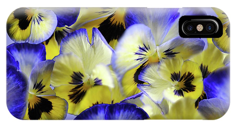 Blue and Yellow Pansies Collage - Phone Case
