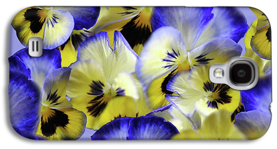 Blue and Yellow Pansies Collage - Phone Case