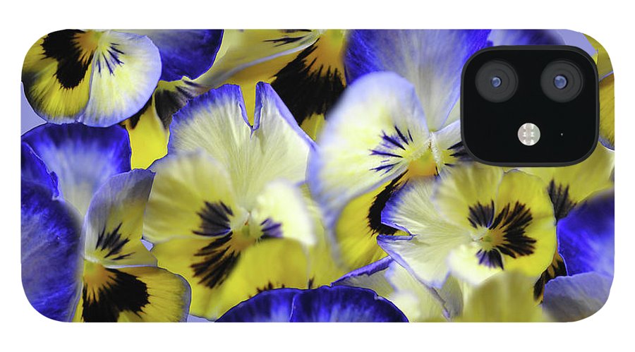 Blue and Yellow Pansies Collage - Phone Case
