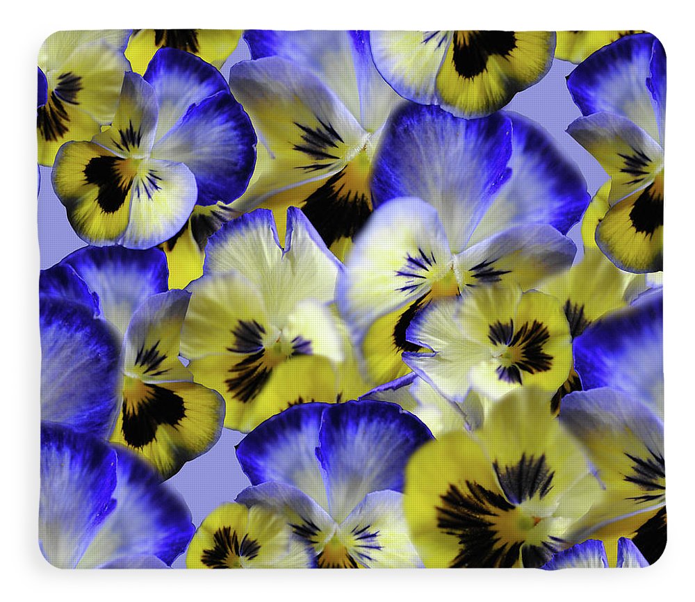 Blue and Yellow Pansies Collage - Blanket