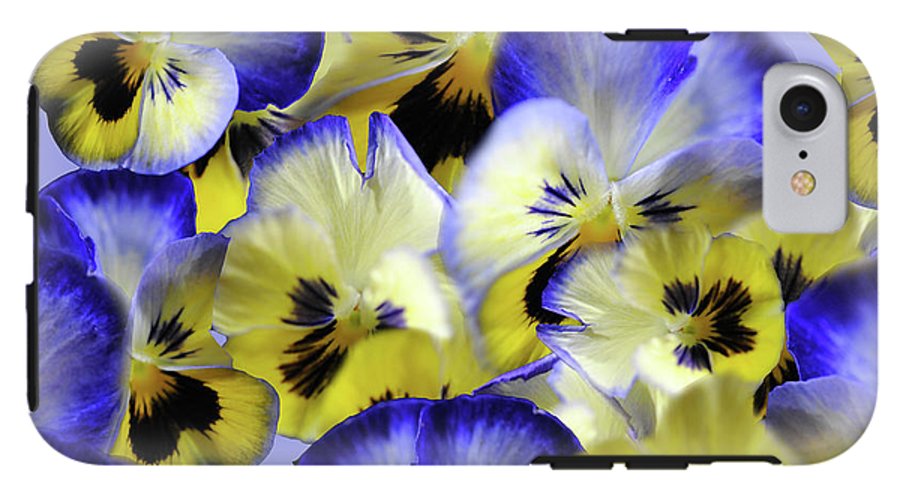 Blue and Yellow Pansies Collage - Phone Case