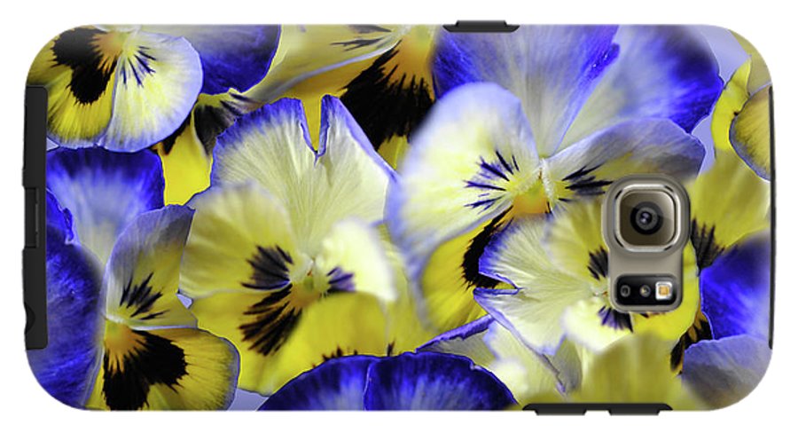 Blue and Yellow Pansies Collage - Phone Case