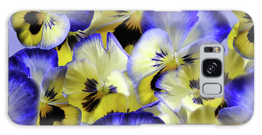 Blue and Yellow Pansies Collage - Phone Case