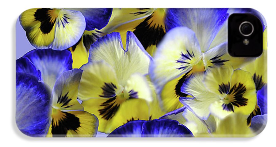Blue and Yellow Pansies Collage - Phone Case