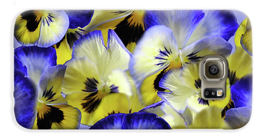 Blue and Yellow Pansies Collage - Phone Case