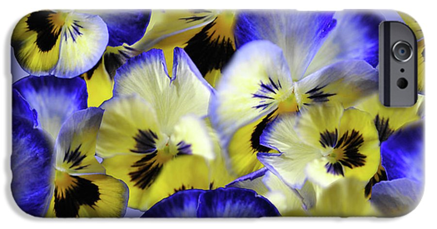 Blue and Yellow Pansies Collage - Phone Case