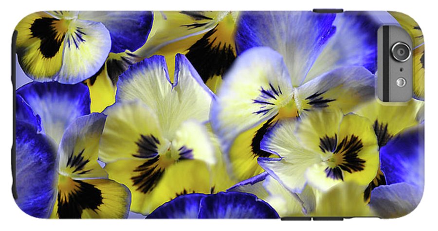 Blue and Yellow Pansies Collage - Phone Case