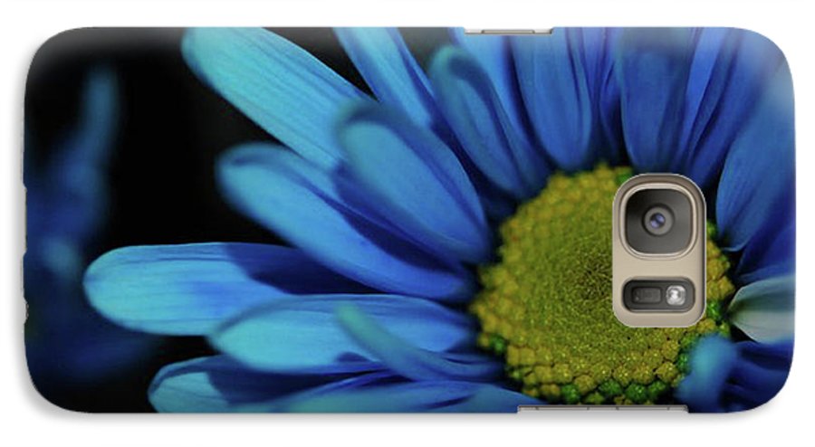 Blue Daisy - Phone Case