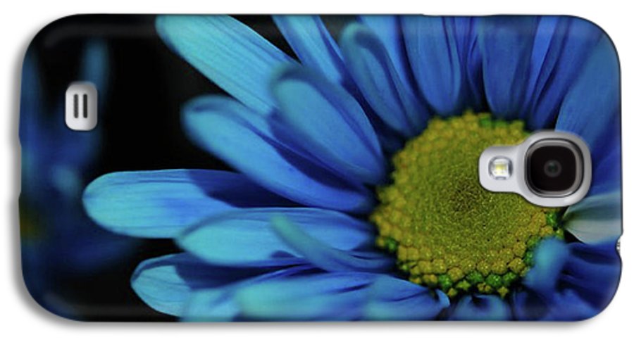 Blue Daisy - Phone Case