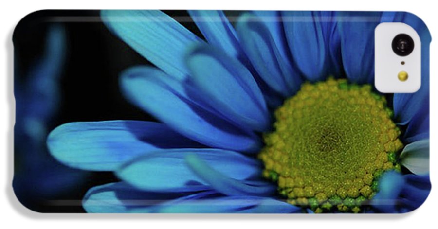 Blue Daisy - Phone Case