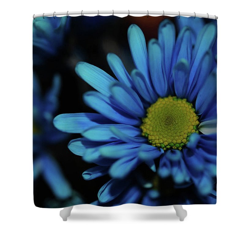 Blue Daisy - Shower Curtain