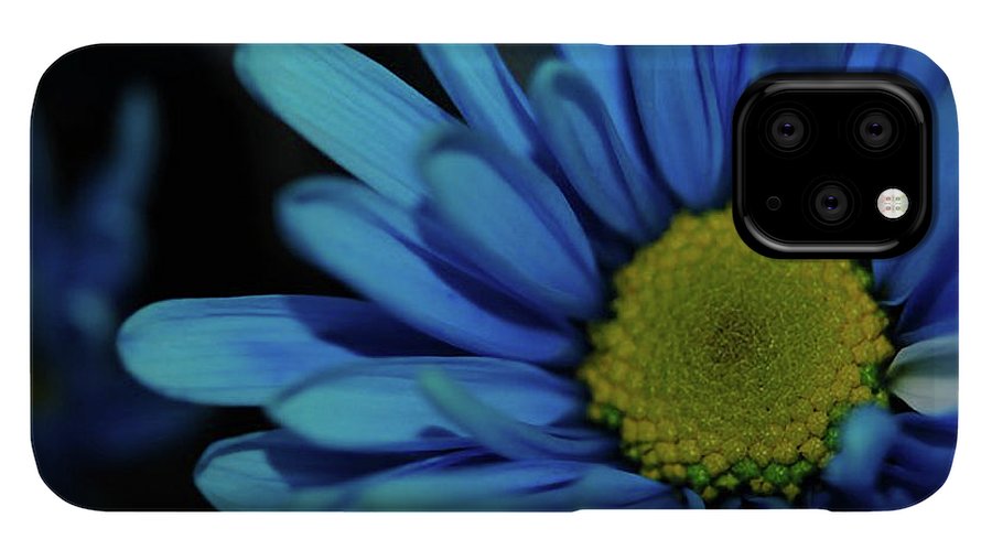 Blue Daisy - Phone Case