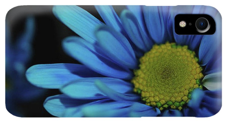 Blue Daisy - Phone Case