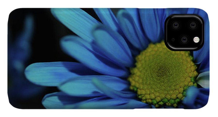 Blue Daisy - Phone Case
